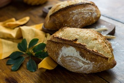 [203] PÃO DE CAMPANHA